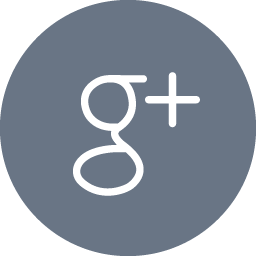 Google +